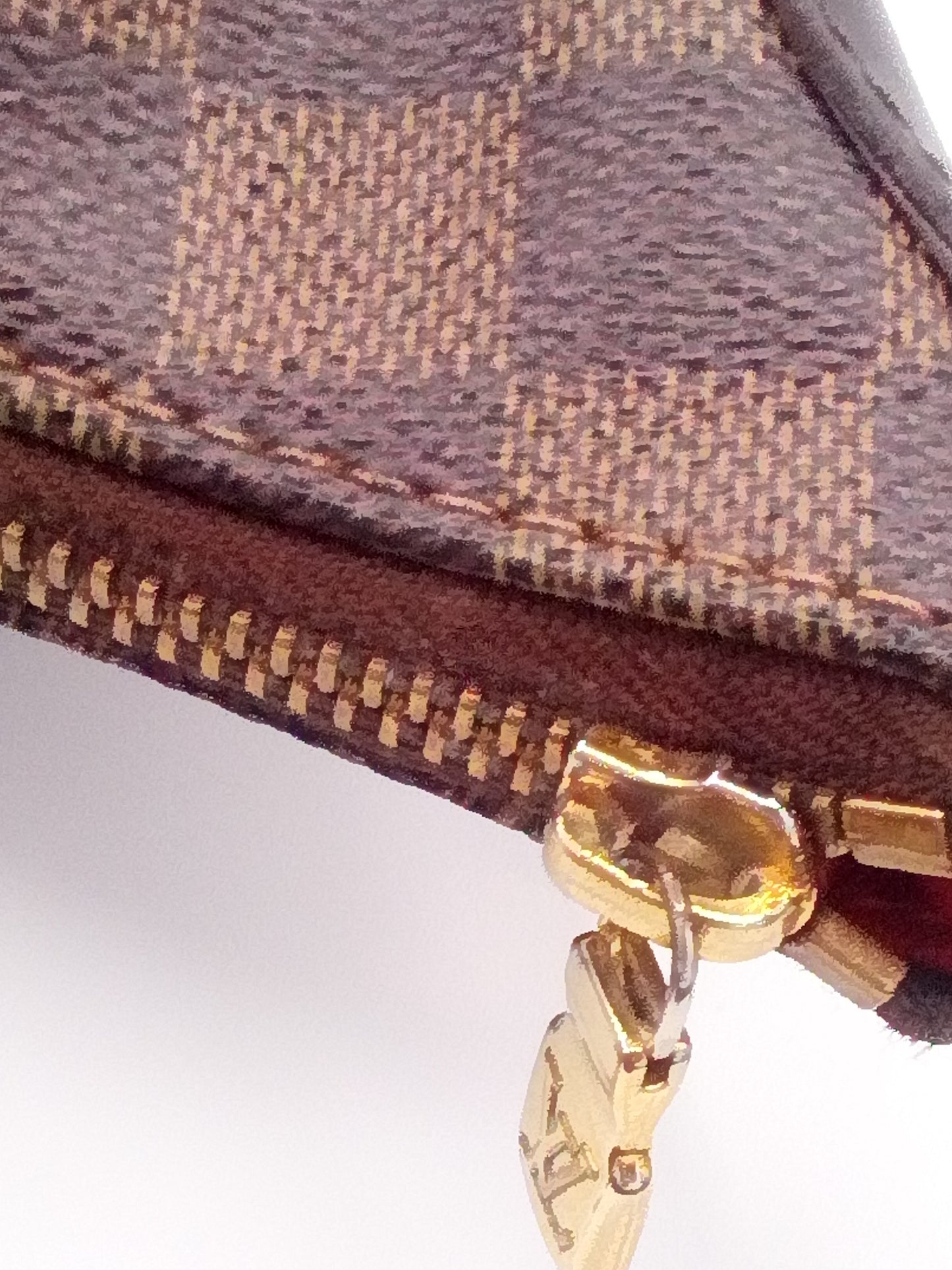 Louis Vuitton Damier Ebene Canvas Bloomsbury PM- LV