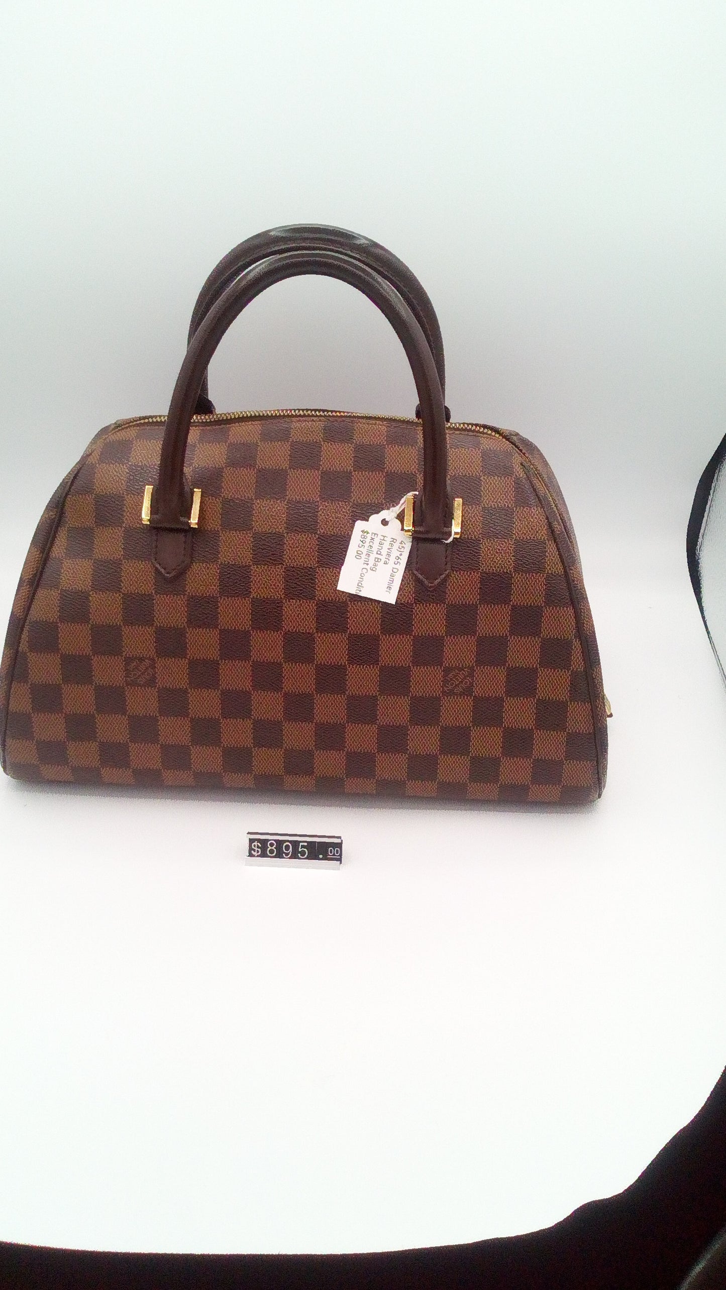 Louis Vuitton Damier Ebene Ribera PM- LV