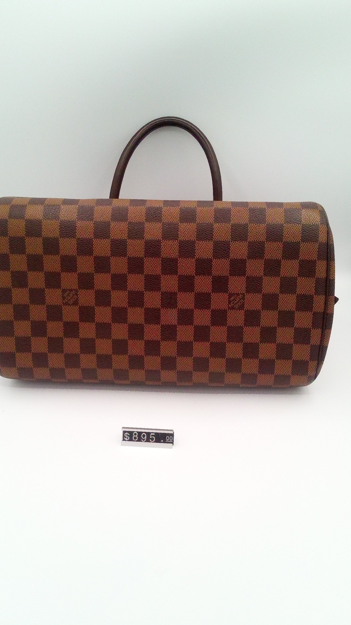 Louis Vuitton Damier Ebene Ribera PM- LV