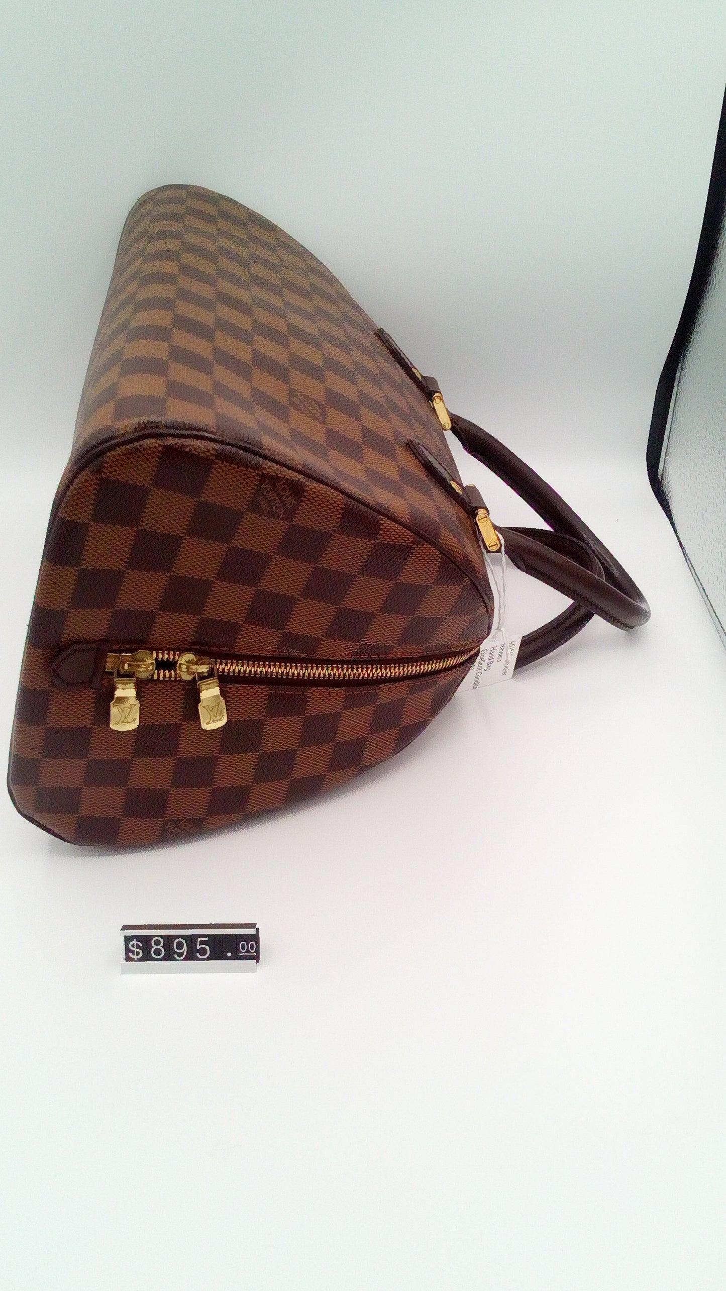 Louis Vuitton Damier Ebene Ribera PM- LV