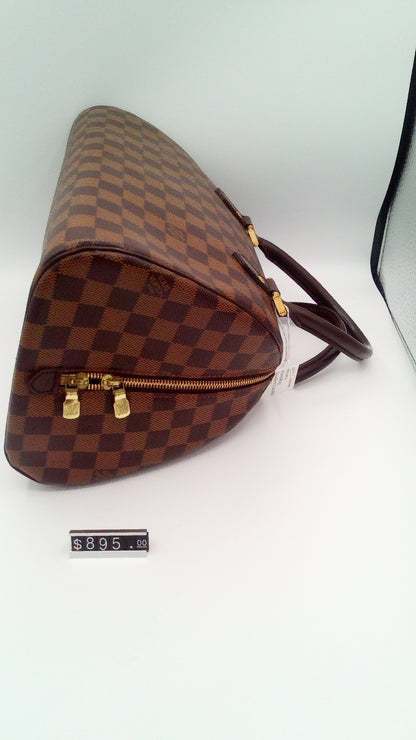 Louis Vuitton Damier Ebene Ribera PM- LV