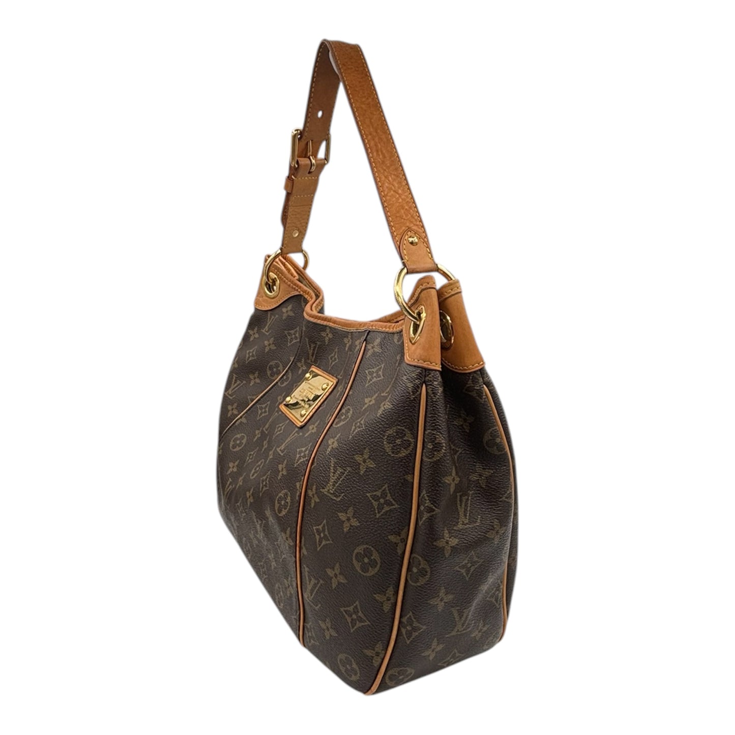Louis Vuitton Monogram Canvas Galliera PM Monogram